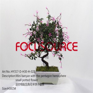 Artificial Small Bonsai Tree-HY317-D-H30-H-028