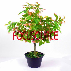 Chakagadzirwa Small Tree Bonsai -HY295-F-H52-093