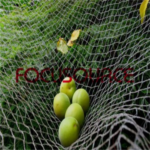 Fruit Collecting Net