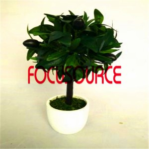 Chakagadzirwa Small Tree Bonsai -HY0217-EV329