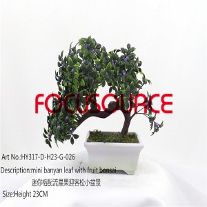 Dag me me Bonsai Tsob ntoo-HY317-D-H23-G-026