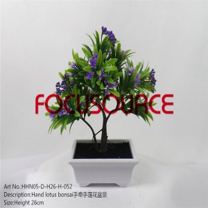 Simulation Flower Small poitean Plants-HHN05-D-H26-H-052