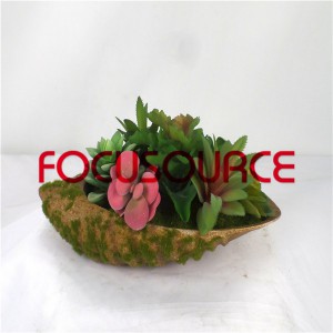 Ru succulent Plants Bonsai-SM002KM-O-004