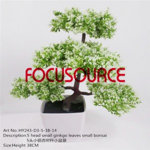 Ru Small Bonsai Tree-HY243-D3-5-38-014