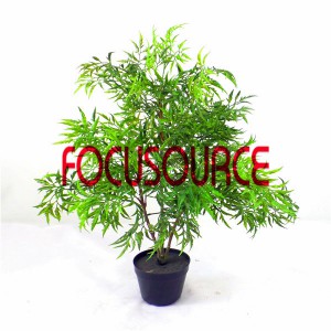 ʻimi hoʻopunipuni Small Tree Bonsai -HY189-F-H60-035