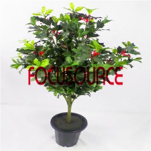 Chakagadzirwa Small Tree Bonsai -HY198-F-H100-G-012