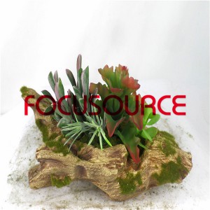 Ru succulent Plants Bonsai-SM021KM-O-042