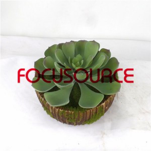 Artificial Succulent Plants Bonsai-SM003KM-O-006