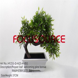 Artificial Small Bonsai Tree-HY255-D-H25-H-051