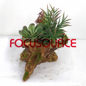 Dirbtinis Succulent Augalai Bonsai-SM008KM-O-016