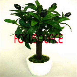 Chakagadzirwa Small Tree Bonsai -HY0217-EV329