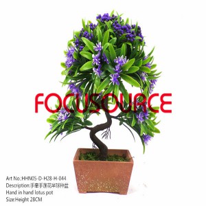 Ịme anwansị Flower Small potted Plants-HHN05-D-H28-H-044