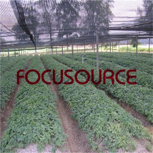 Agricultrue Sun Shade Net