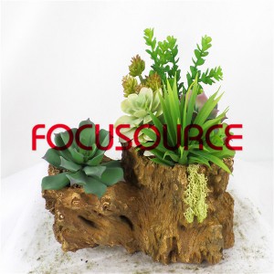 Ponggawa Tanduran succulent Bonsai-SM009K-O-017