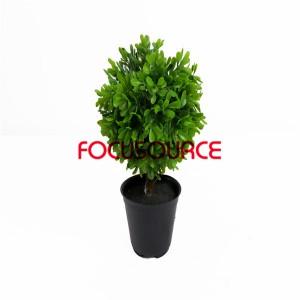 Artefarita Herbo Pilko bonsajo-H24cm14cm 4 tavolo kamuning pilko potted