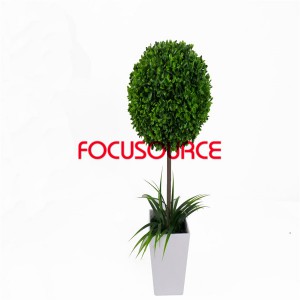 OEM/ODM China Sprung Bed Slats -
 Artificial Plants Bonsai-H60cm25cm Water Ring Grass ball Bonsai  – Focusource