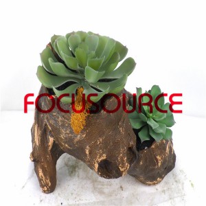 Ru succulent Plants Bonsai-SM011K-O-021