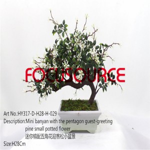 Artificial Small Bonsai Tree-HY317-D-H28-H-029